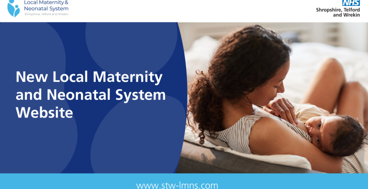 Local Maternity and Neonatal System image